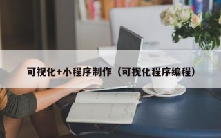 伊犁哈萨克可视化+小程序制作（可视化程序编程）